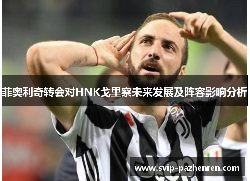 菲奥利奇转会对HNK戈里察未来发展及阵容影响分析 菲奥利奇转会对HNK戈里察未来发展及阵容影响分析