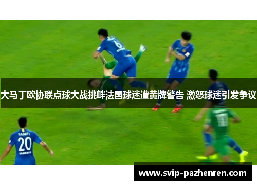 大马丁欧协联点球大战挑衅法国球迷遭黄牌警告 激怒球迷引发争议